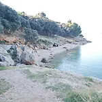 Viva Metajna