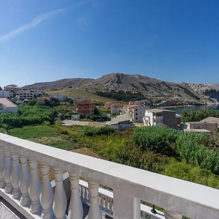 Viva * Metajna