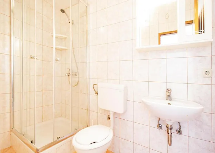 Apartment Viva Metajna
