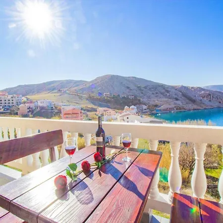 Viva 梅塔伊纳